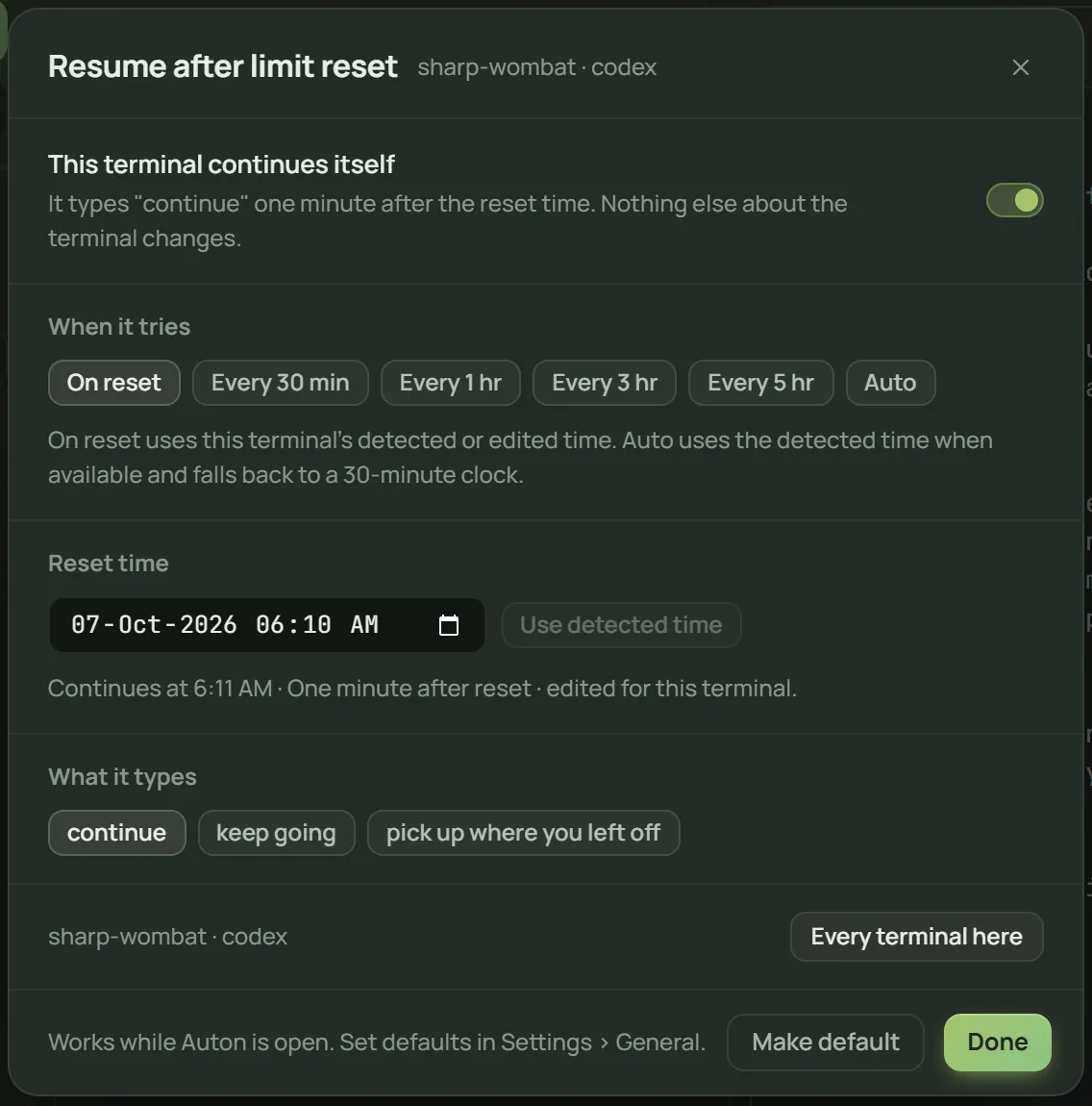One terminal set to type continue one minute after its usage limit resets.