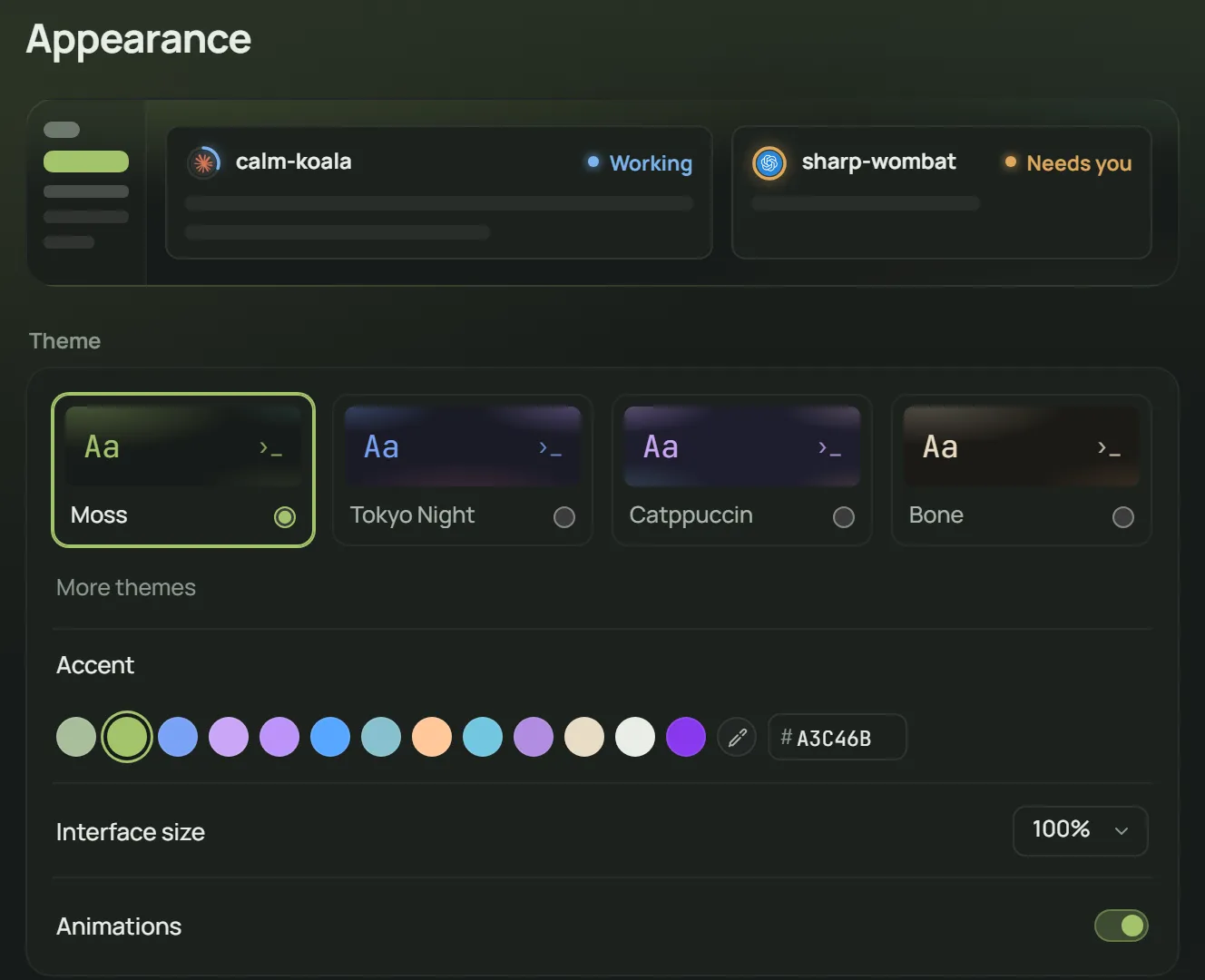 Appearance settings with theme choices and accent colors.